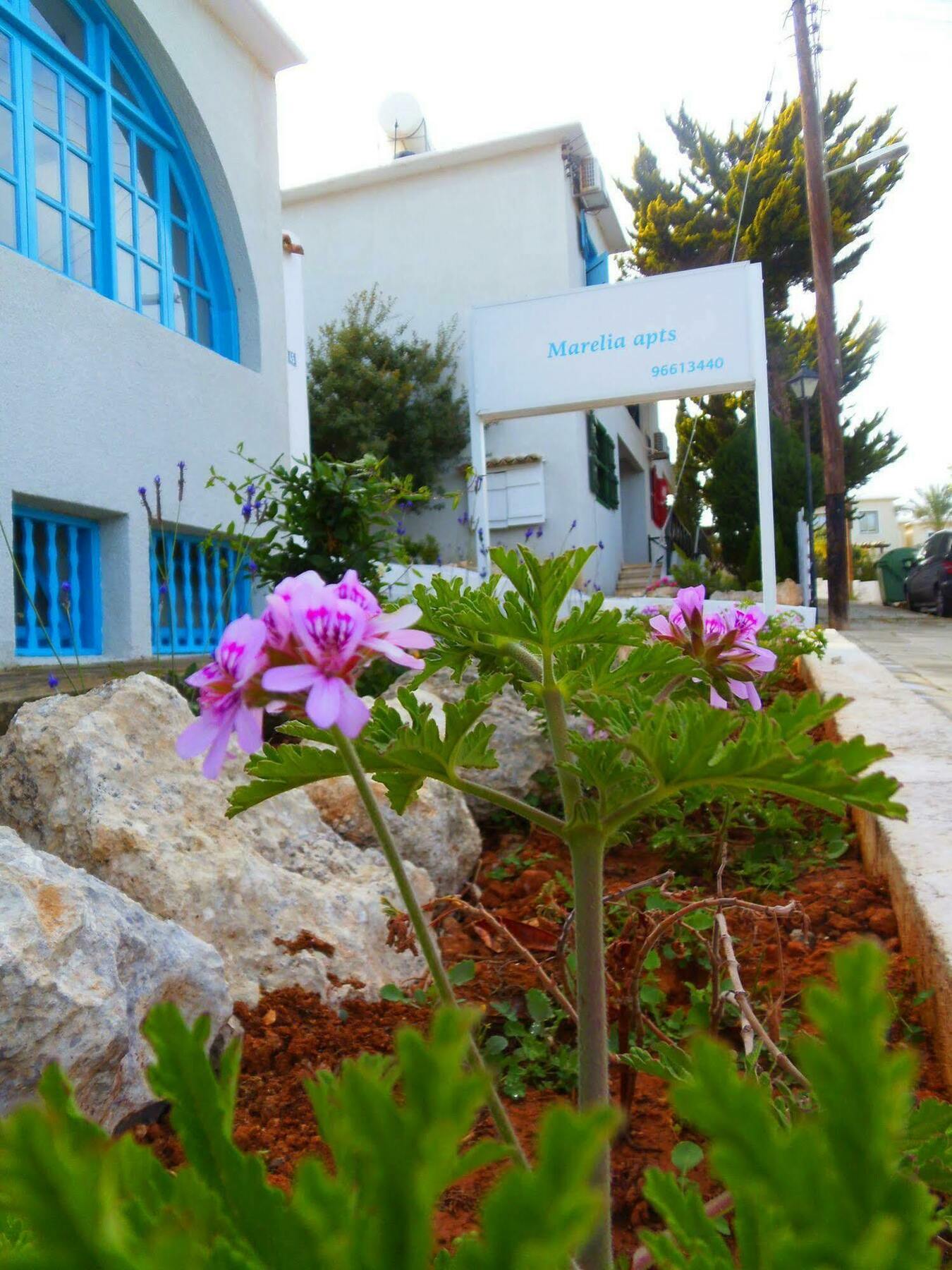 Light & Blue Ayios Elias Private Bungalows Protaras Eksteriør bilde